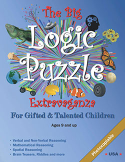 logic puzzles gifted students